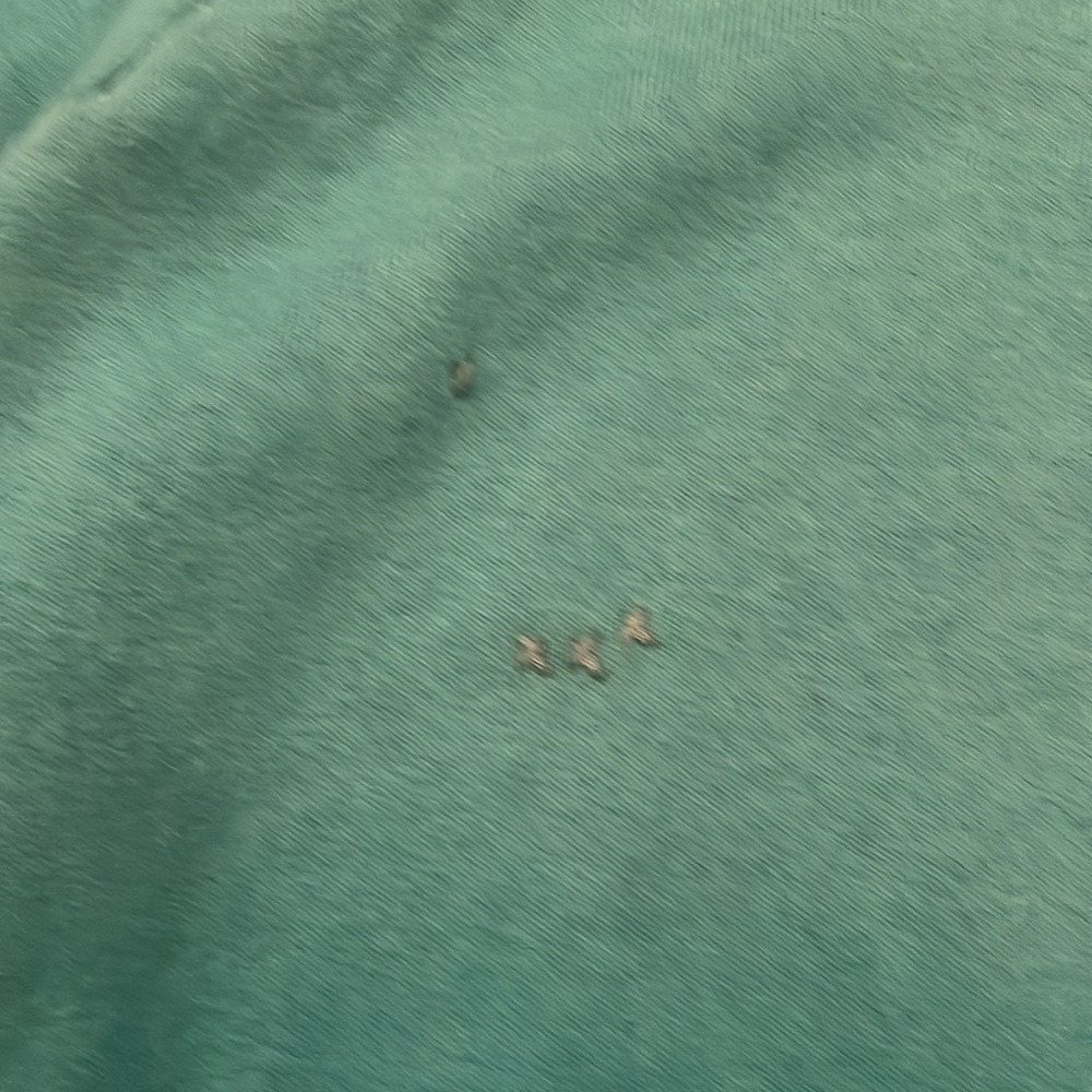 I Stole My Boyfriend’s Sweatshirt-Nashville sweatshirt - Picture 4 of 11